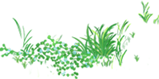 0012.png